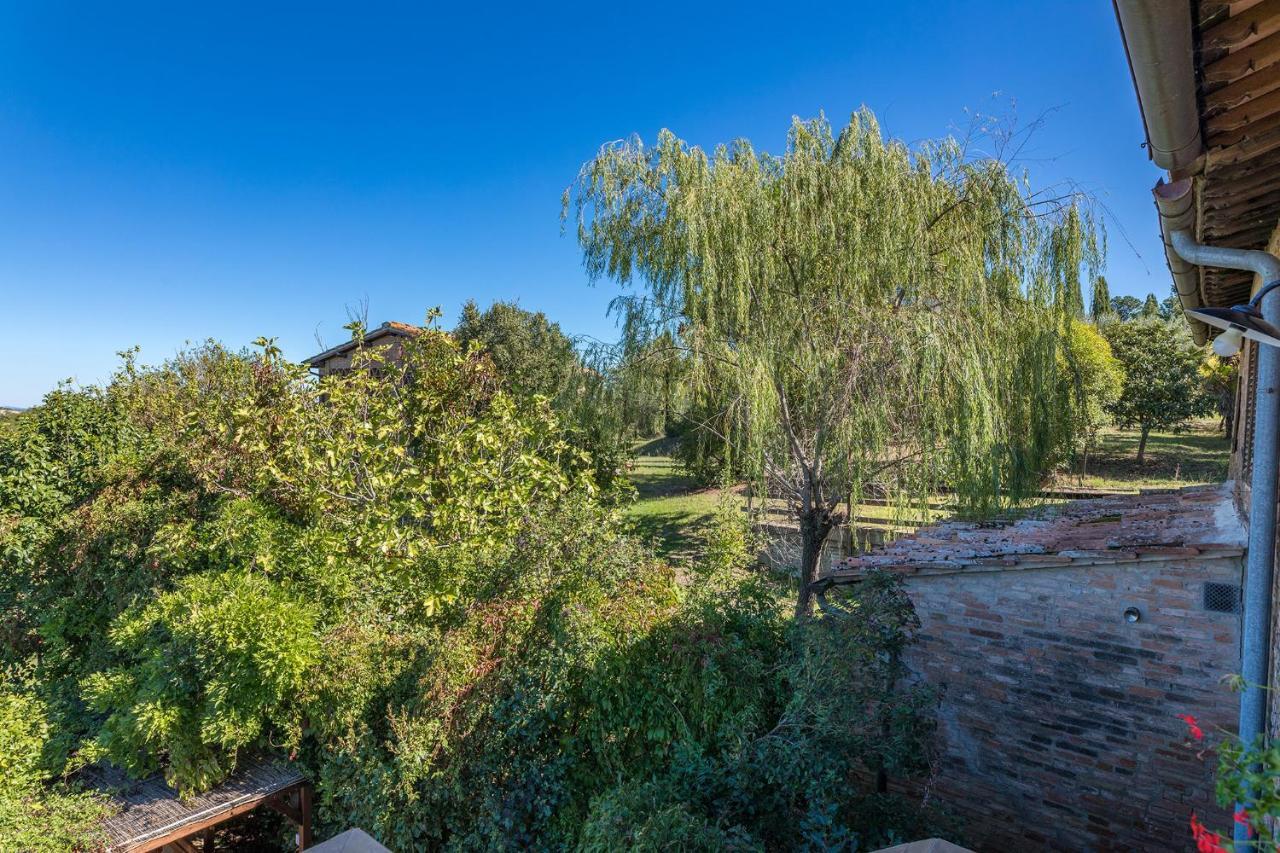 Vila Podere Albereto Buonconvento Exteriér fotografie